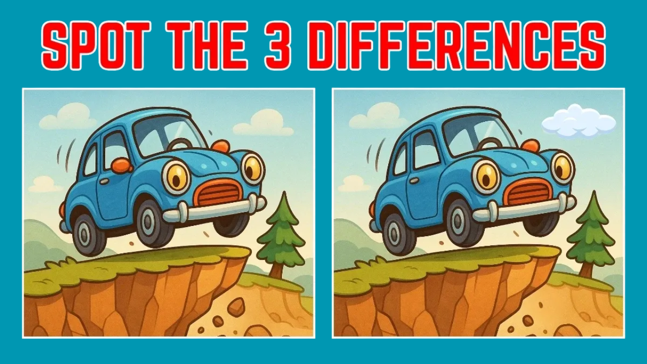 Spot 3 Differences