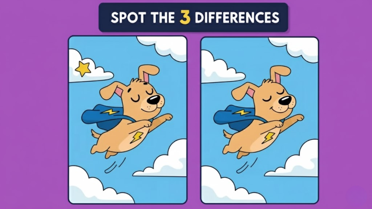 Spot the Difference