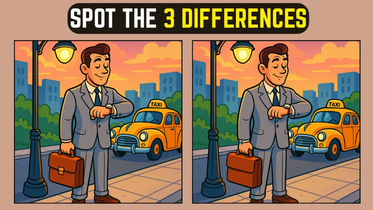 Spot-the-difference puzzles